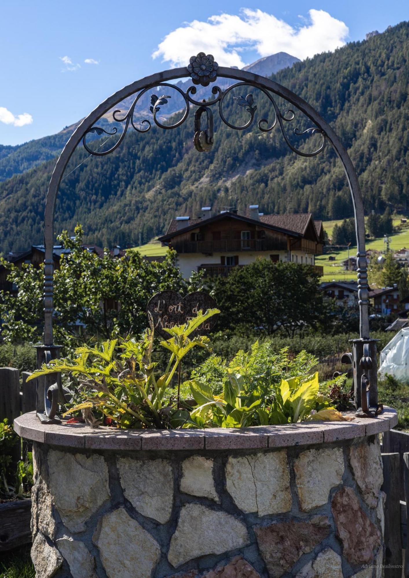 Majon De La Nona Hotel Pozza di Fassa Ngoại thất bức ảnh