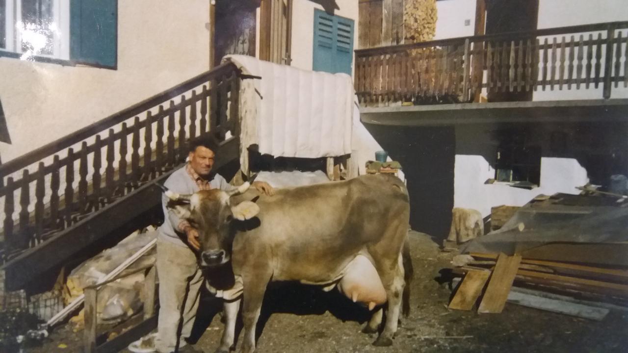 Majon De La Nona Hotel Pozza di Fassa Ngoại thất bức ảnh
